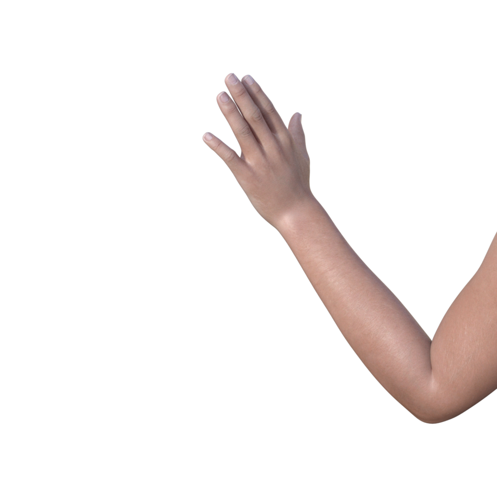 hands pose gesture 3d rendering png