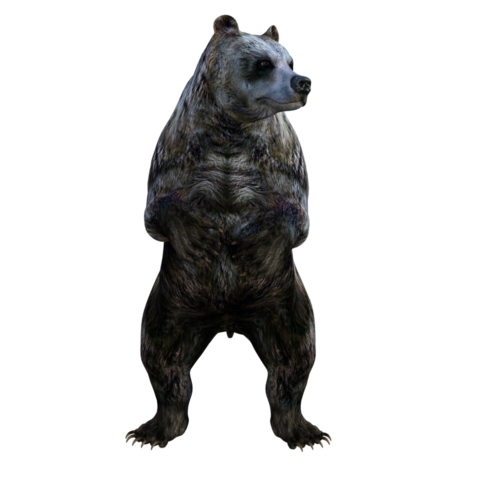 urso de ilustração 3D png