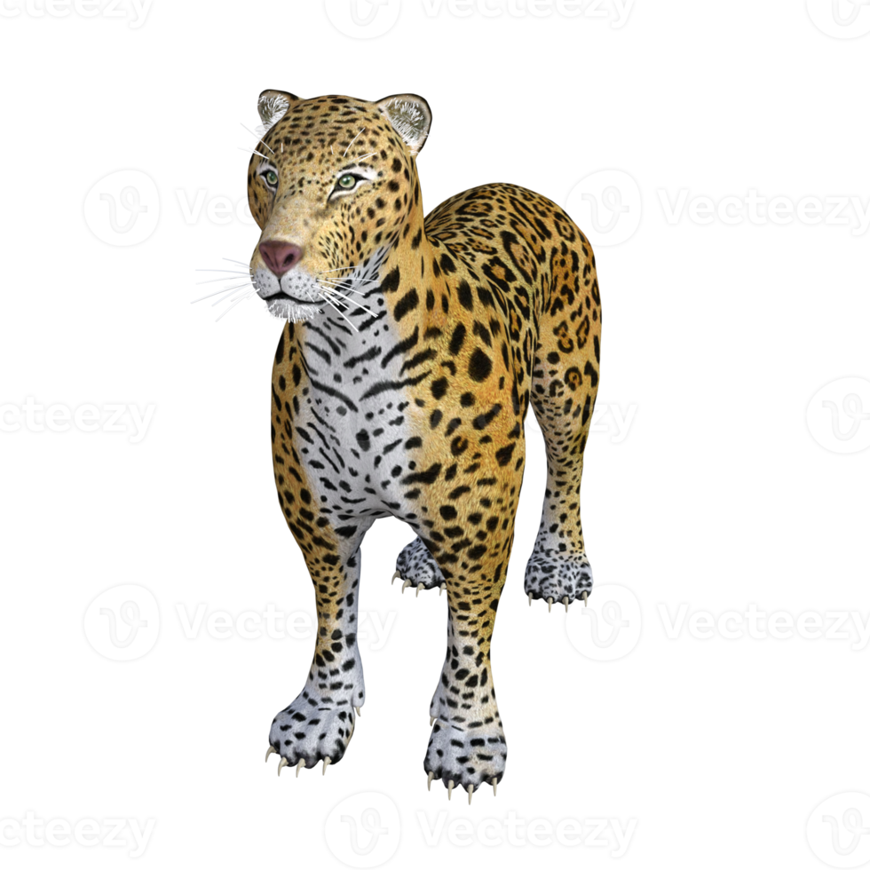 Jaguar 3d pose illustration model png