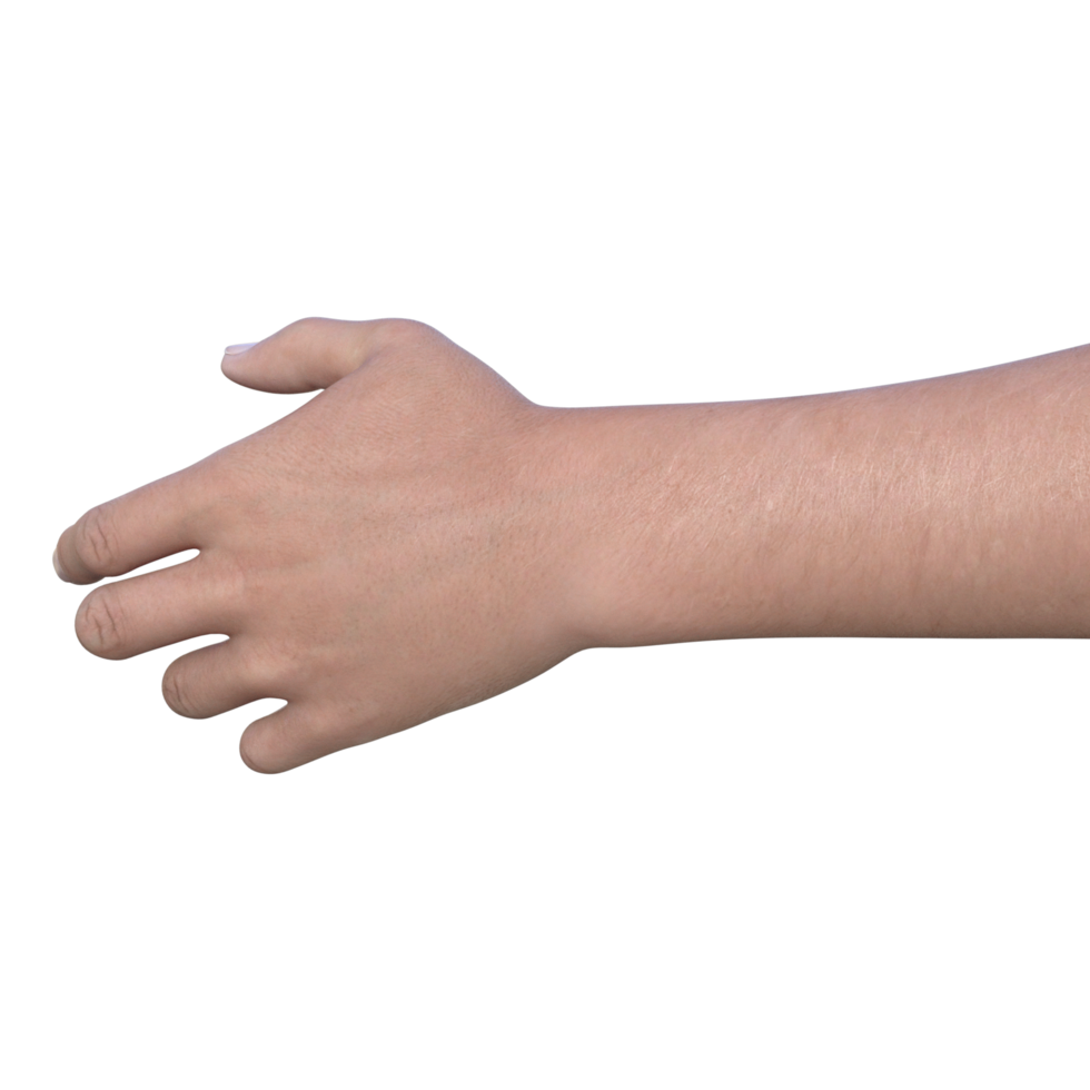 hands pose gesture 3d rendering png