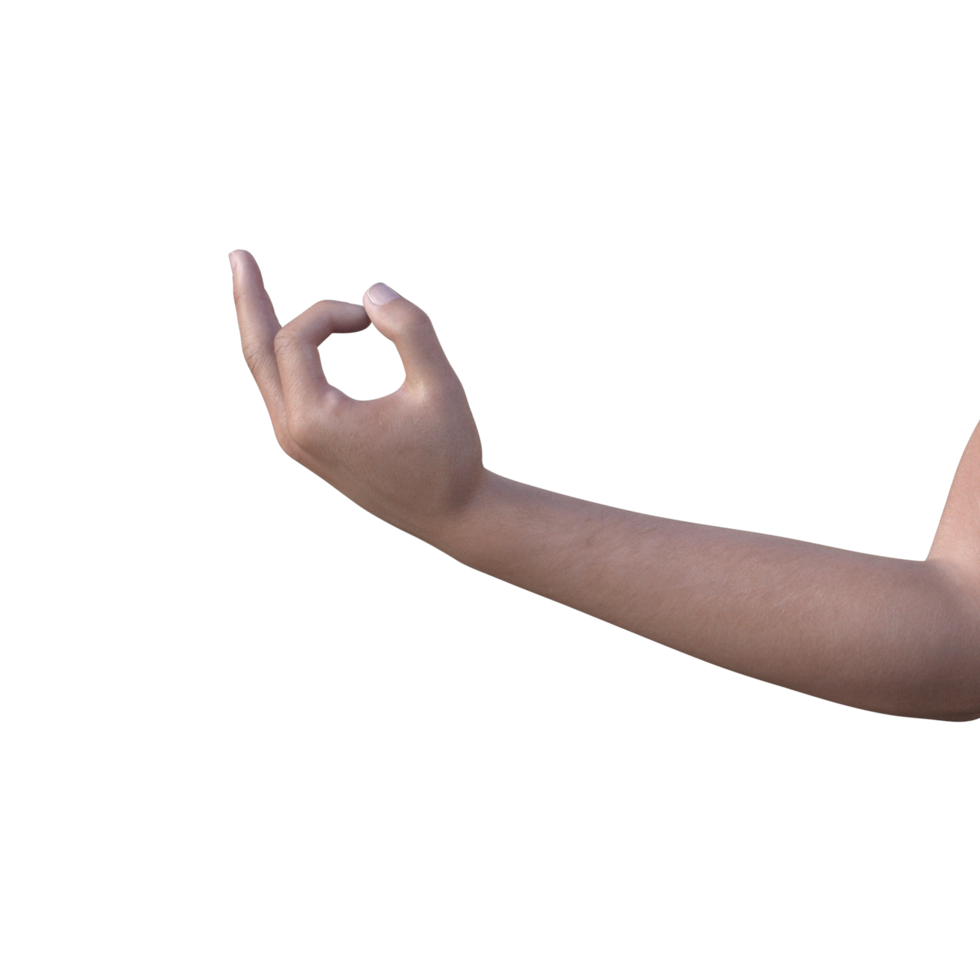 hands pose gesture 3d rendering png