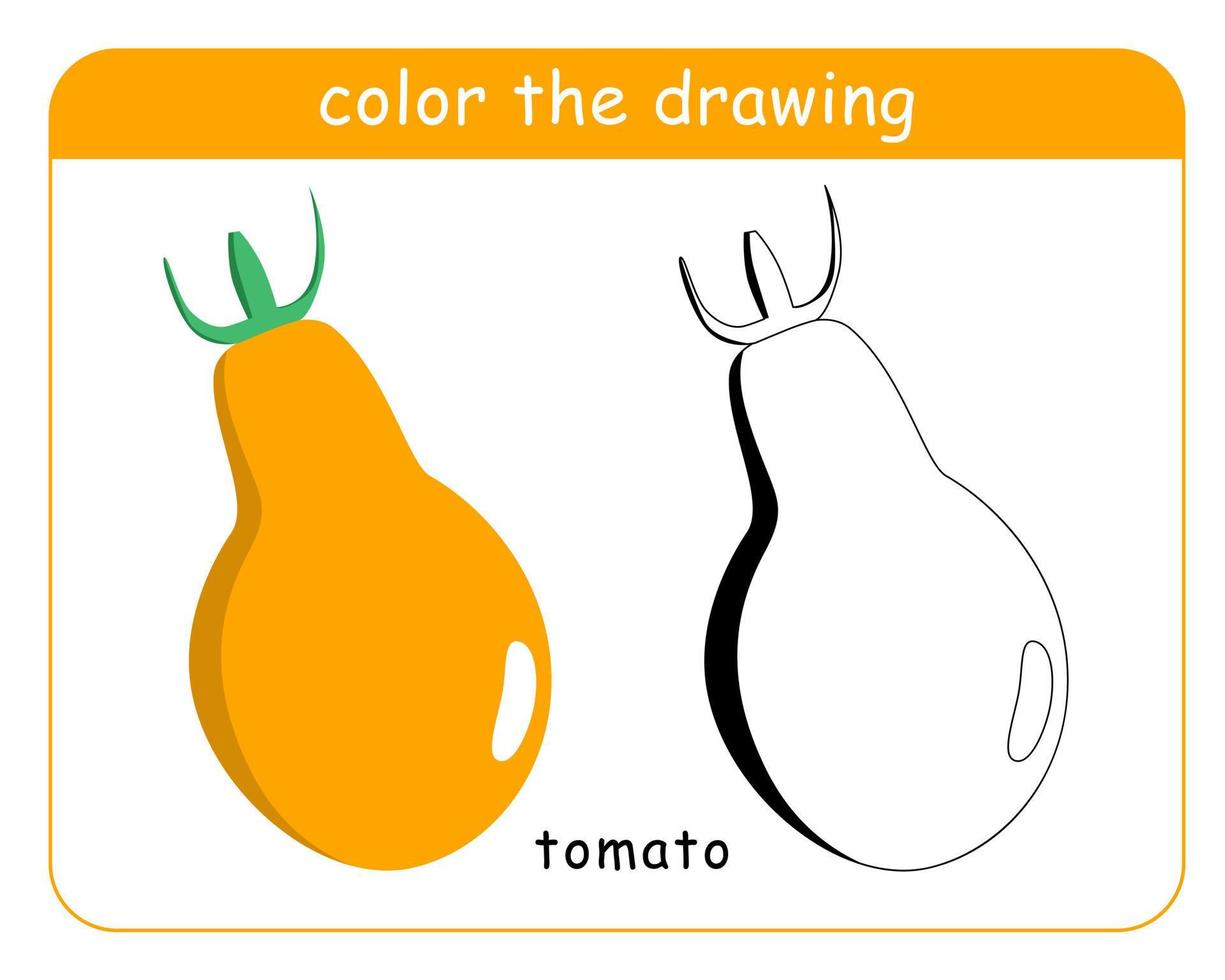 Coloring book for children. Tomatoes in color and black and white. vector