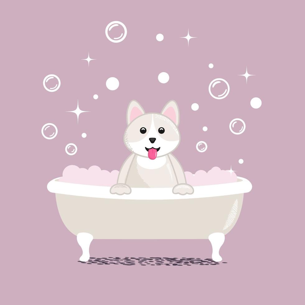 white dog takes a bath vector