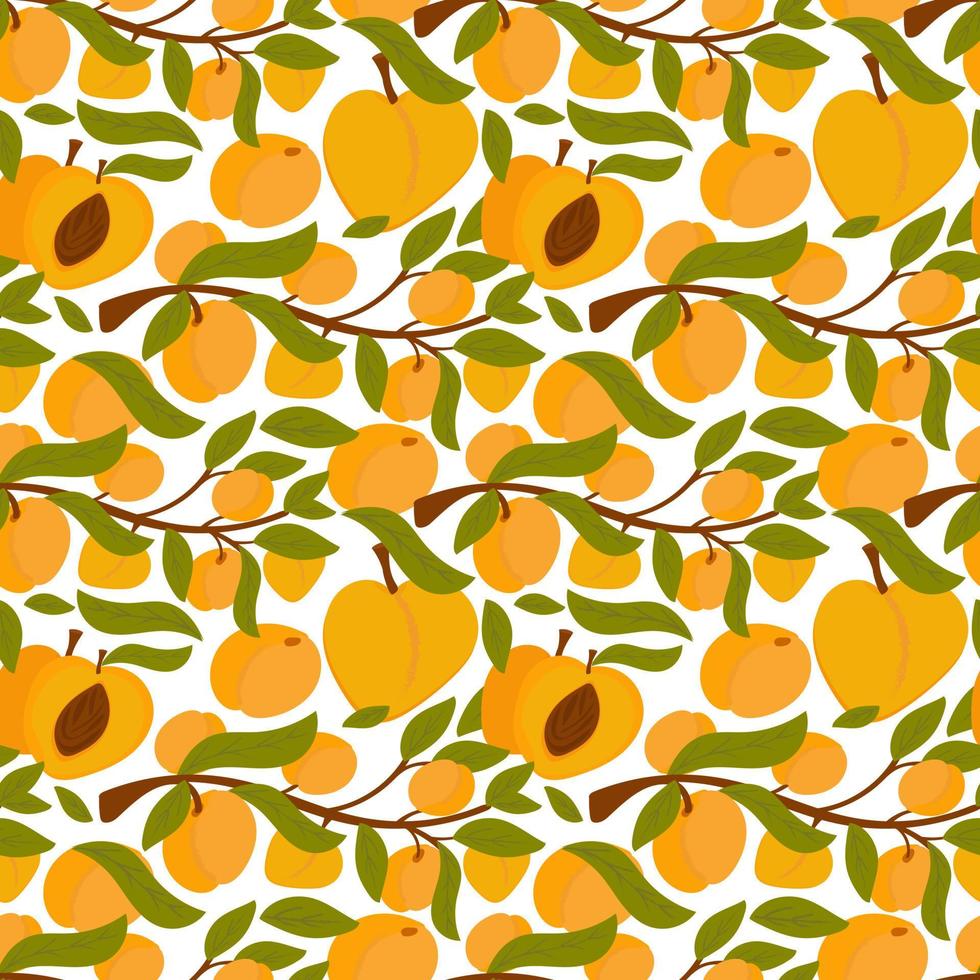 Endless apricot or peach print. Whole and cut fruit pattern. Background for printing on fabric, paper, packaging. Vector illustration, hand drawn