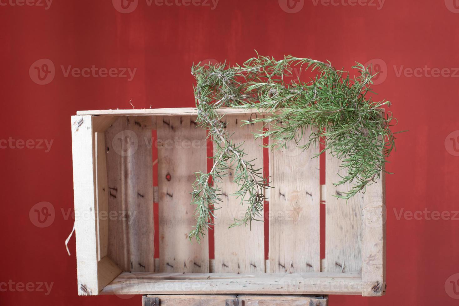 An empty rustic wooden box stands against a red background. On the box is a sprig of rosemary to dry photo