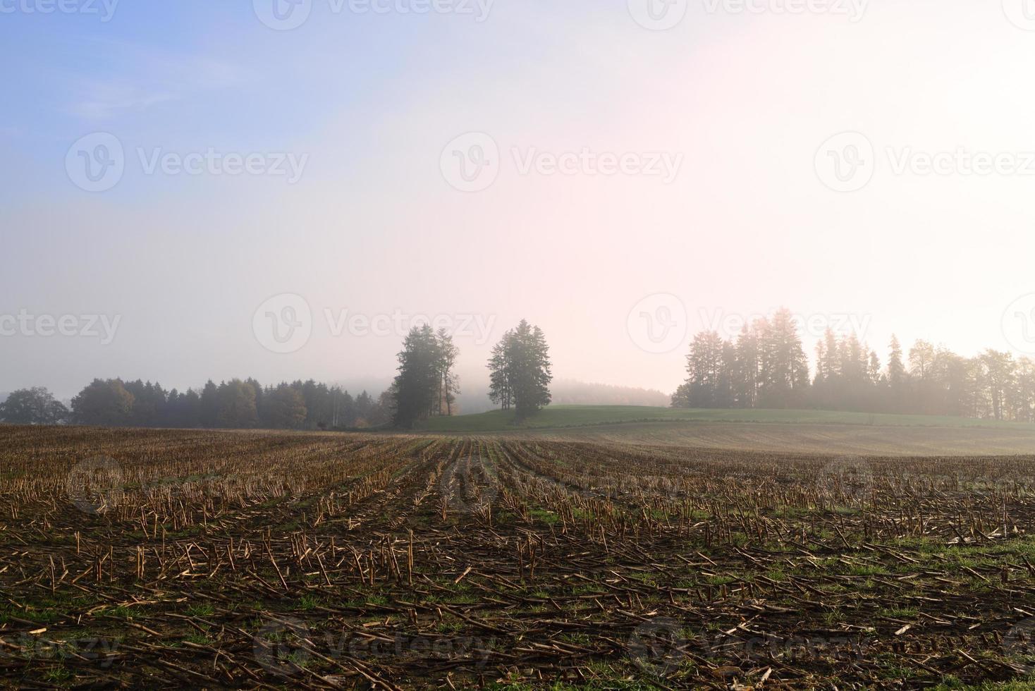 Autumn landscape in Bavaria with a harvested corn field in front of rising fog in the morning photo