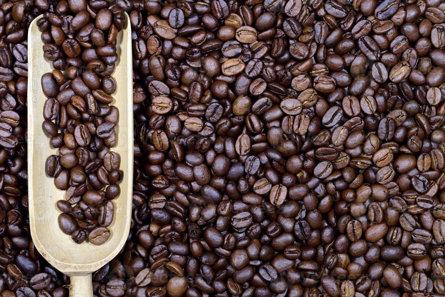 Close up, texture and background of roasted fresh coffee beans with a small wooden scoop in it photo