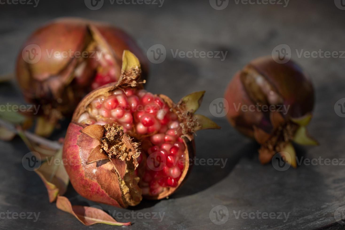 Close up of small wild pomegranates lying on an old weathered copper plate. The fruits have cracked open and you can see the red seeds. photo