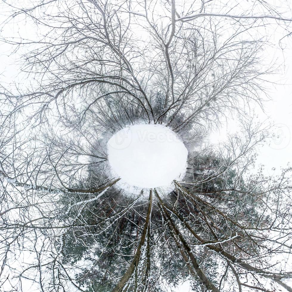 Winter tiny planet in snow covered forest. transformation of spherical panorama 360 degrees. Spherical abstract aerial view in forest. Curvature of space. photo