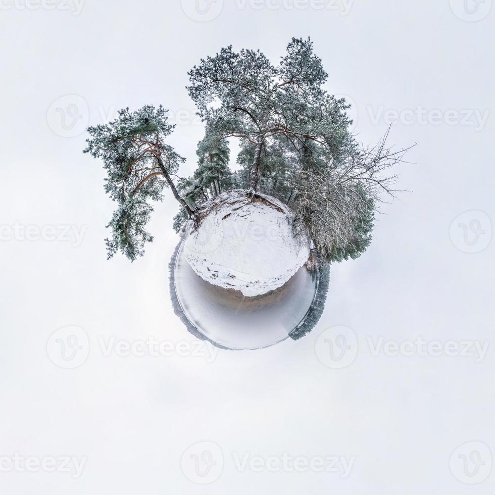 Winter tiny planet in snow covered pinery forest near lake with transformation of spherical panorama 360 degrees in abstract aerial view. Curvature of space photo