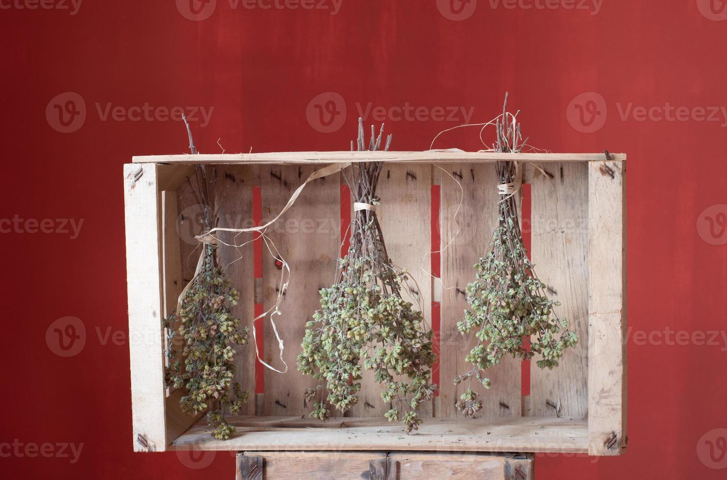 Three bundles of oregano hang to dry in a fruit crate. The box stands against a red background and artistically represents the preservation of food. photo