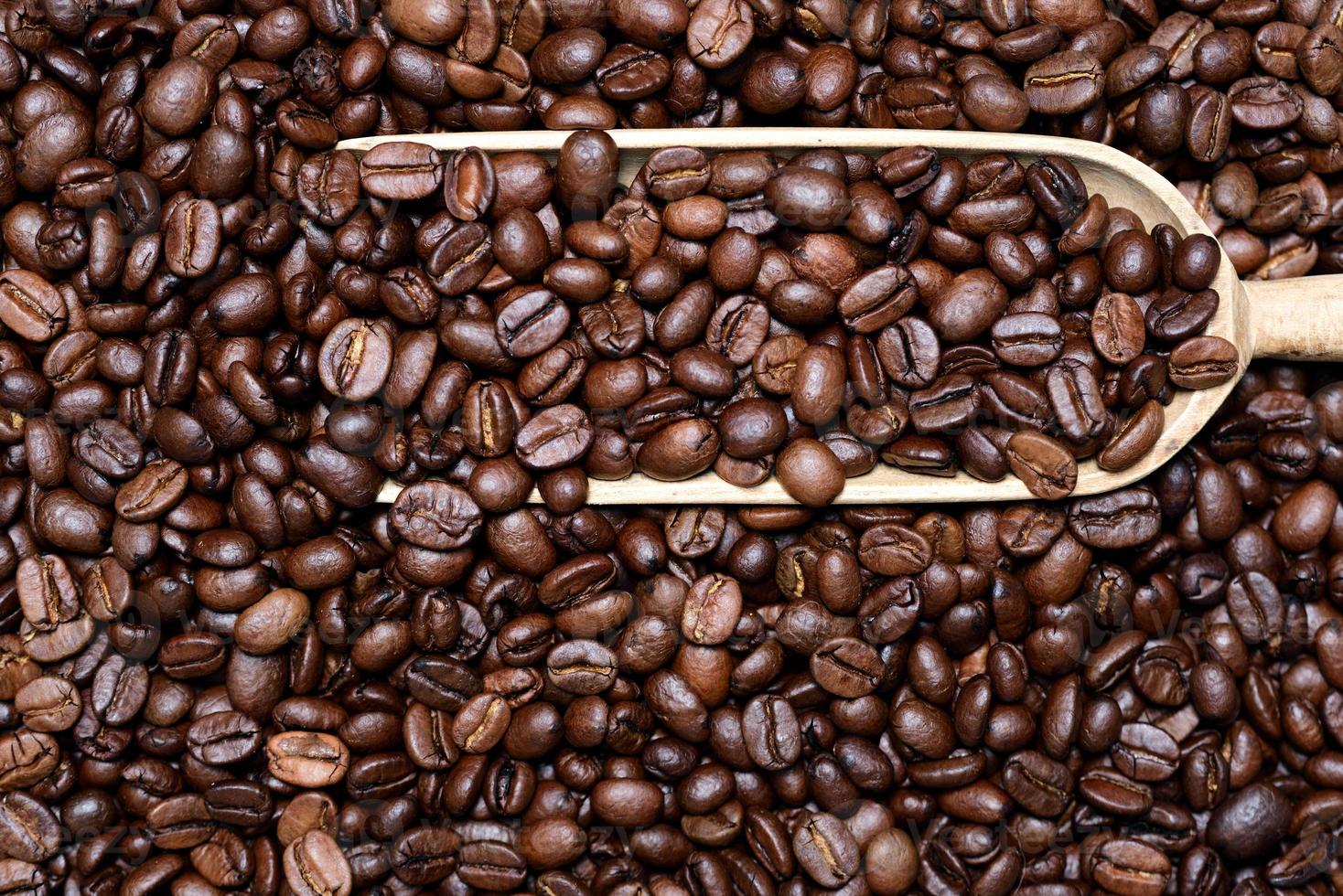 Close up, texture and background of roasted fresh coffee beans with a small wooden scoop in it photo