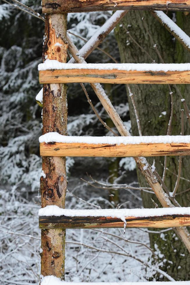 Close up of a wooden ladder covered in snow leaning against a tree in the forest, in portrait orientation photo