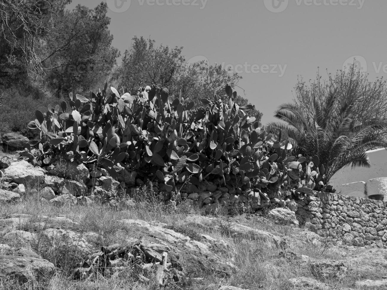 ibiza island in spain photo