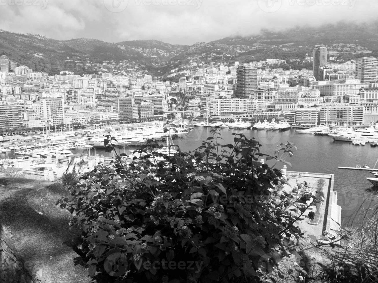 monte carlo city photo