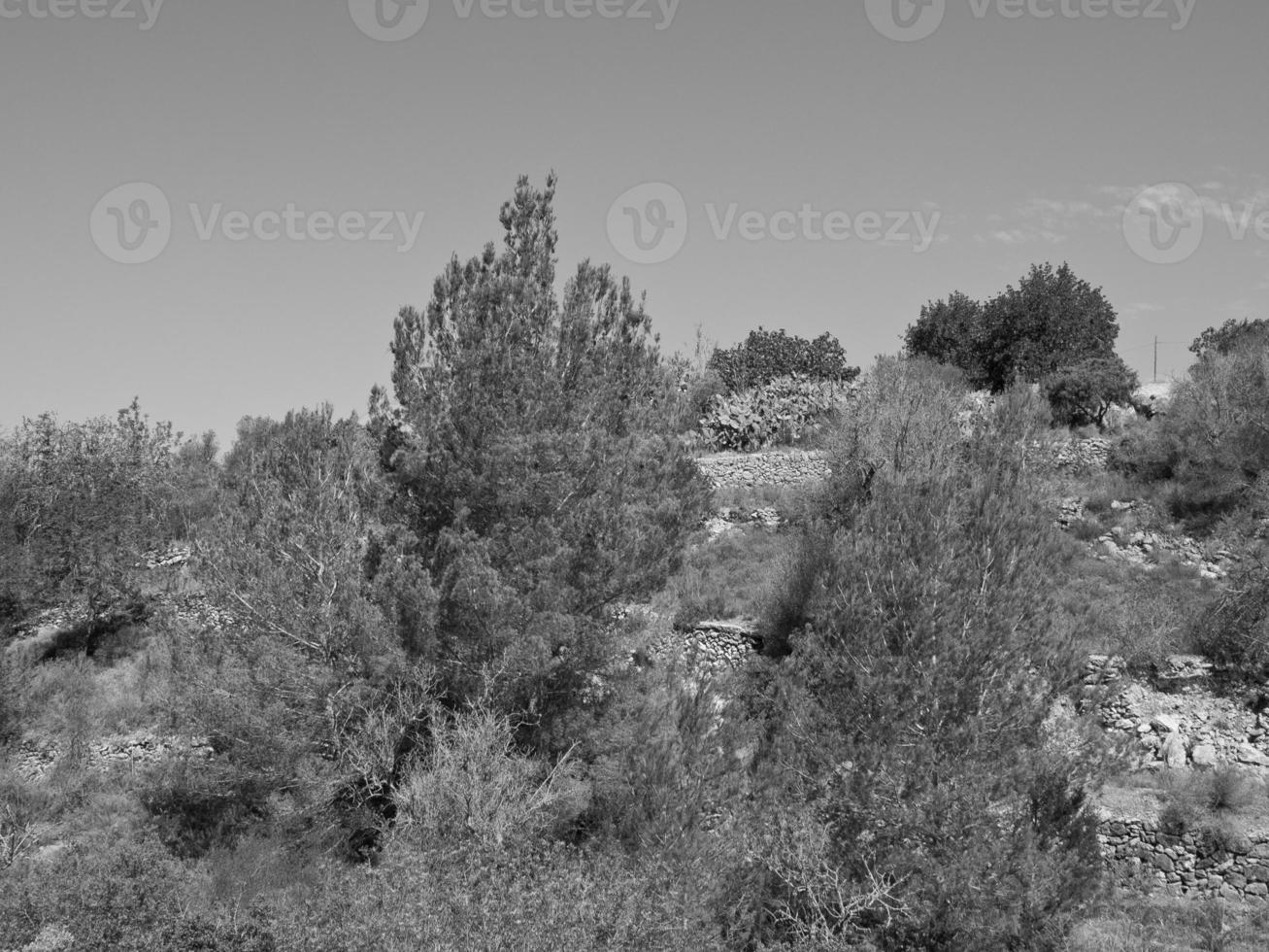 ibiza island in spain photo