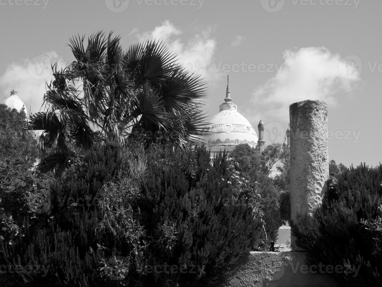 tunis in Africa photo