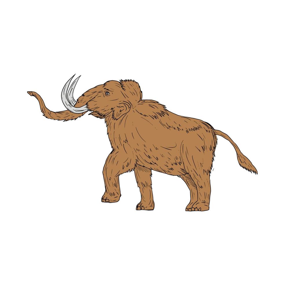 Woolly Mammoth Prancing Drawing vector