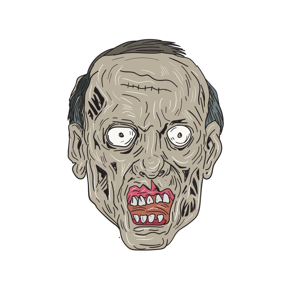 Zombie Head Front Drawing vector