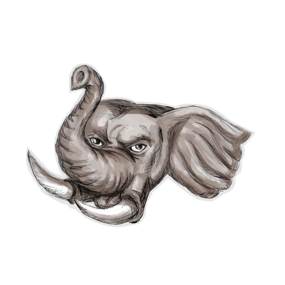 African Elephant Head Watercolor vector