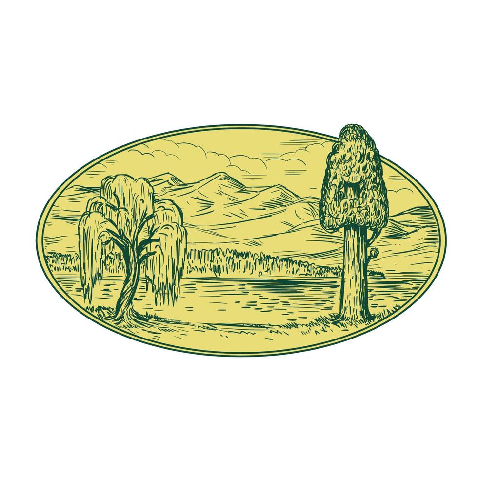 sauce y secuoya árbol lago montañas dibujo ovalado vector