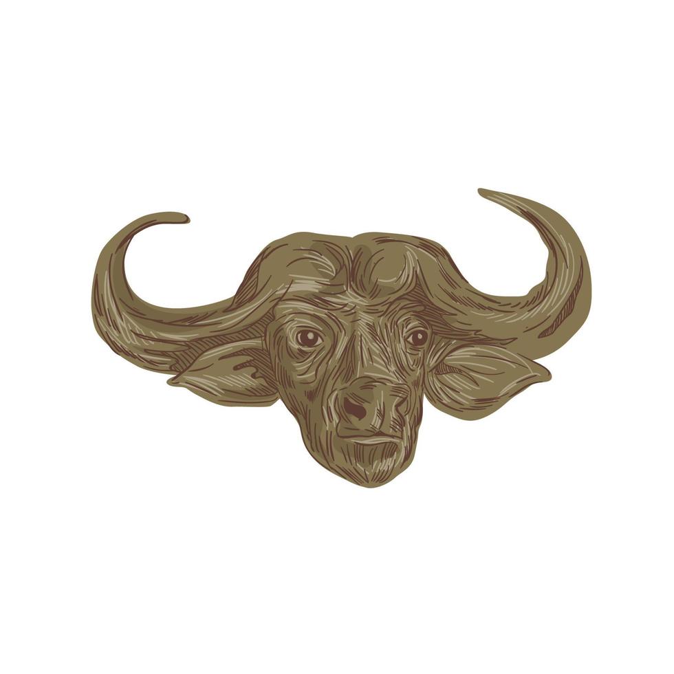 dibujo de cabeza de búfalo africano vector