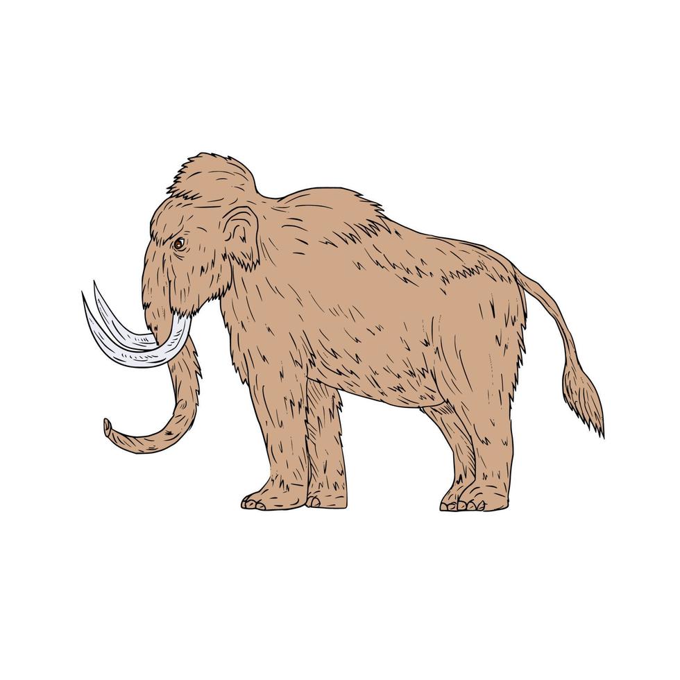 dibujo lateral de mamut lanudo vector