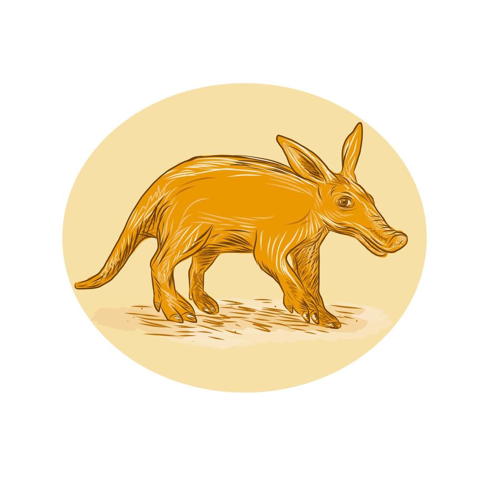 Aardvark African Ant Bear Drawing vector