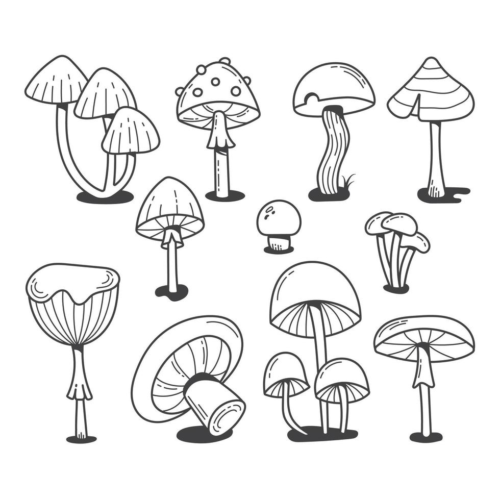 Different mushrooms drawn in doodle style. Black and white line art illustration in a hand-drawn style. Pictures are great to use as a design element for prints, banners, posters, stickers, labels vector