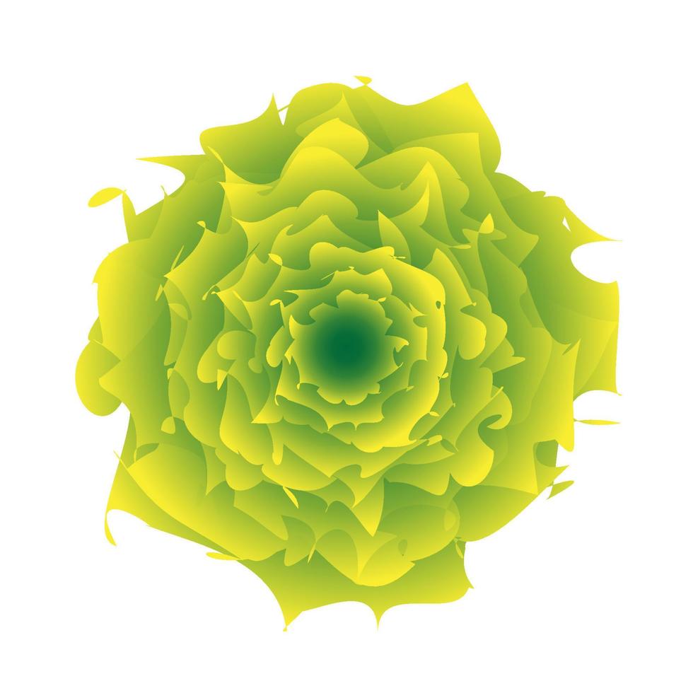 illustration of green blooming flower on white background vector