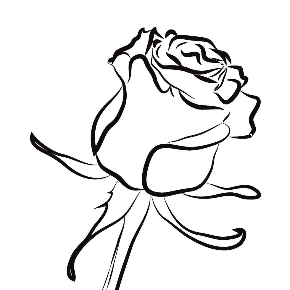 close-up silhouette of a rose with black outline vector