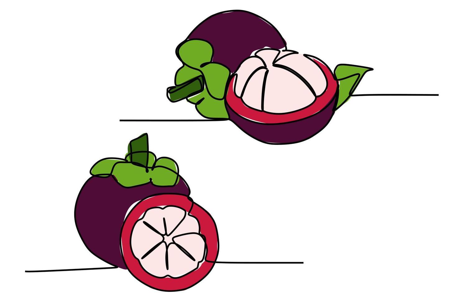 un dibujo de línea continua de dulces frutas tropicales de mangostán. ilustración de vector de estilo dibujado a mano de color plano simple para el concepto de vida natural y saludable