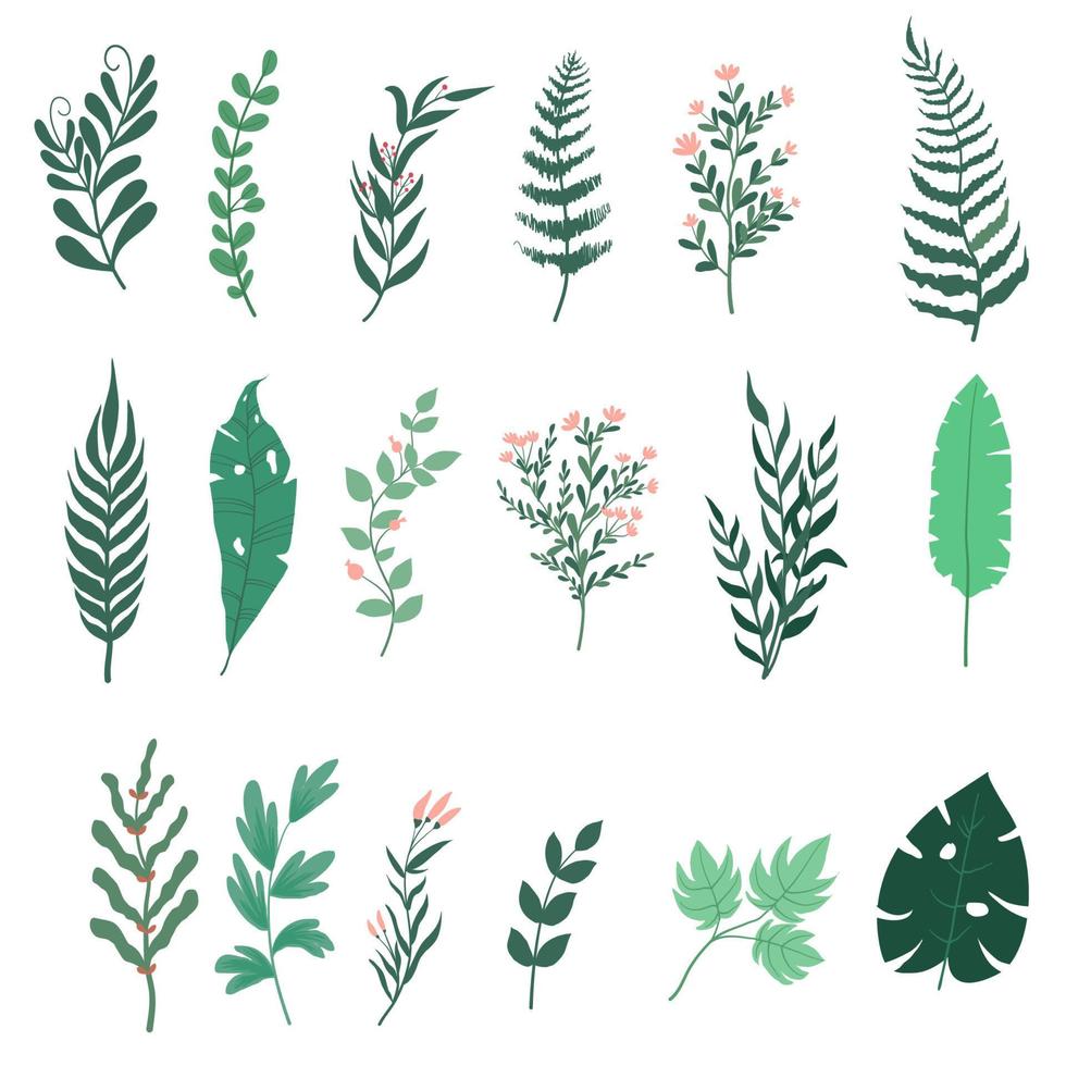 ilustración vectorial de hojas tropicales vector