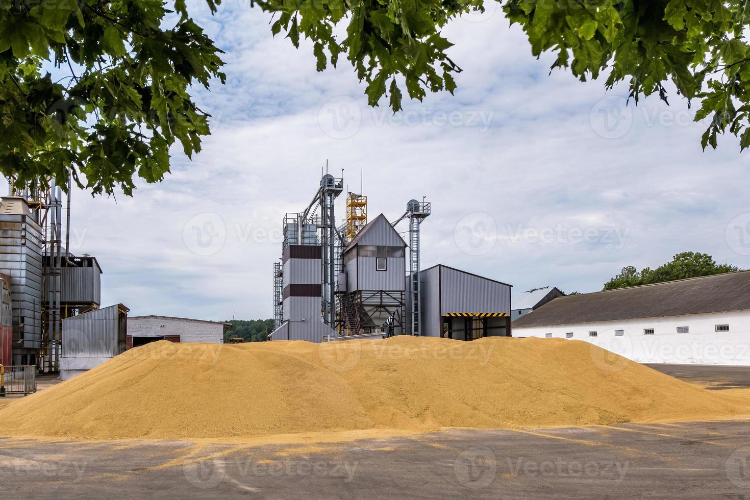 Modern Granary elevator. Silver silos on agro-processing and manufacturing plant for processing drying cleaning and storage of agricultural products, flour, cereals and grain. photo