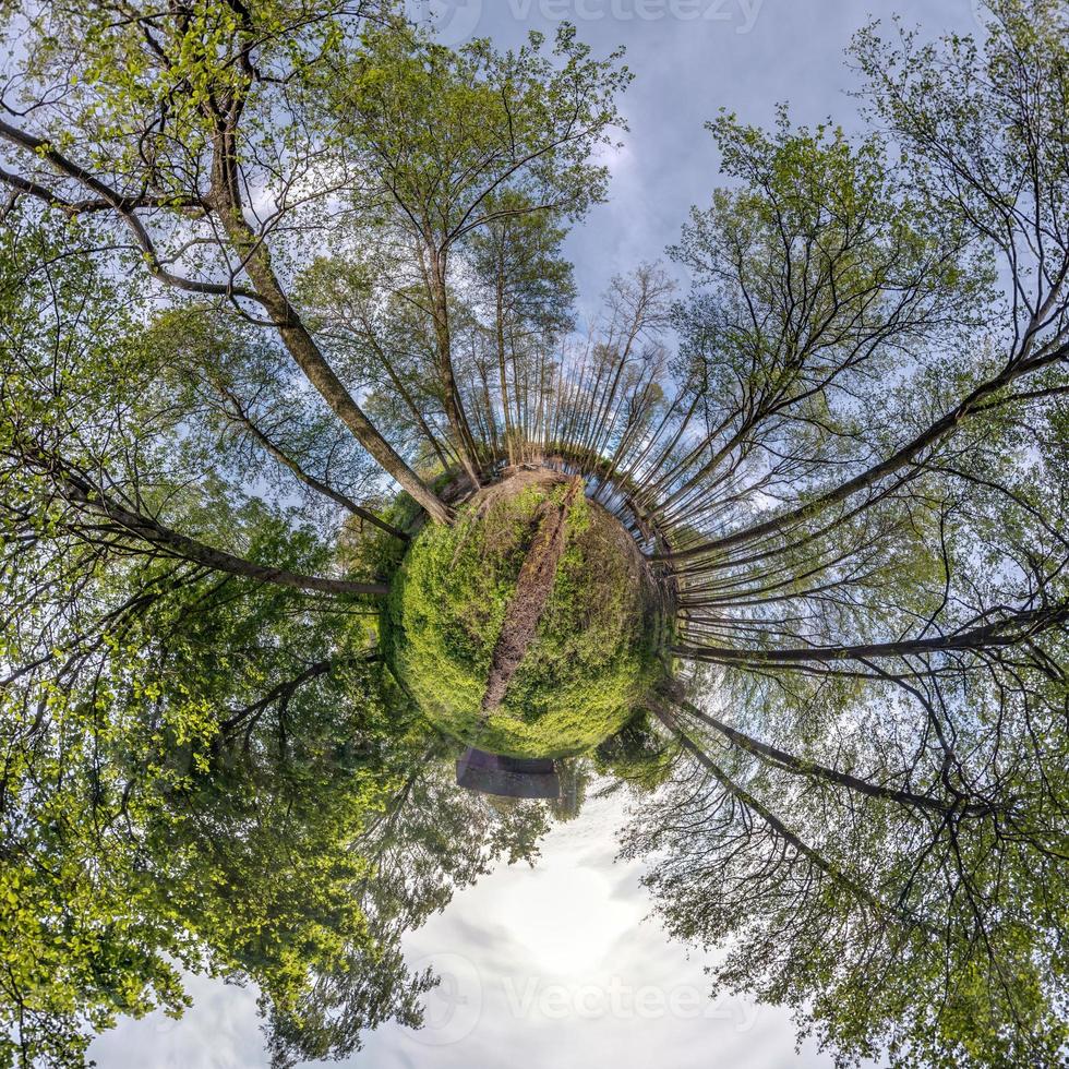 tiny planet transformation of spherical panorama 360 degrees. Spherical abstract aerial view on green maple forest. Curvature of space. photo