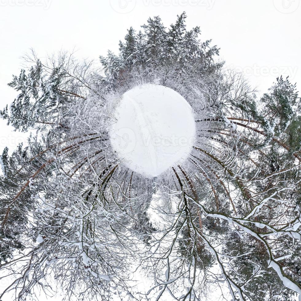 Winter tiny planet in snow covered pinery forest. transformation of spherical panorama 360 degrees. Spherical abstract aerial view in forest. Curvature of space. photo