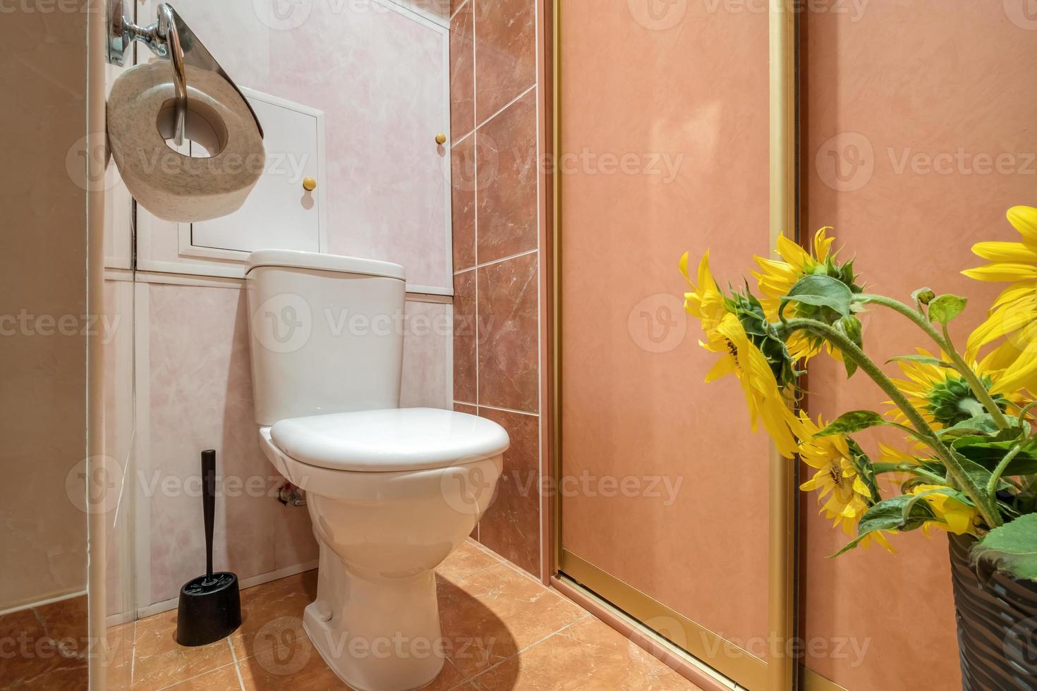 toilet and detail of a corner shower cabin with wall mount shower attachment photo