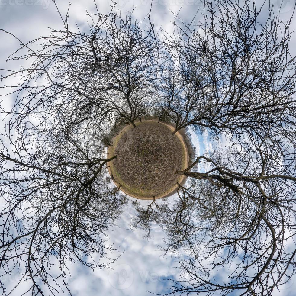 autumn tiny planet transformation of spherical panorama 360 degrees. Spherical abstract aerial view in forest with clumsy branches. Curvature of space. photo