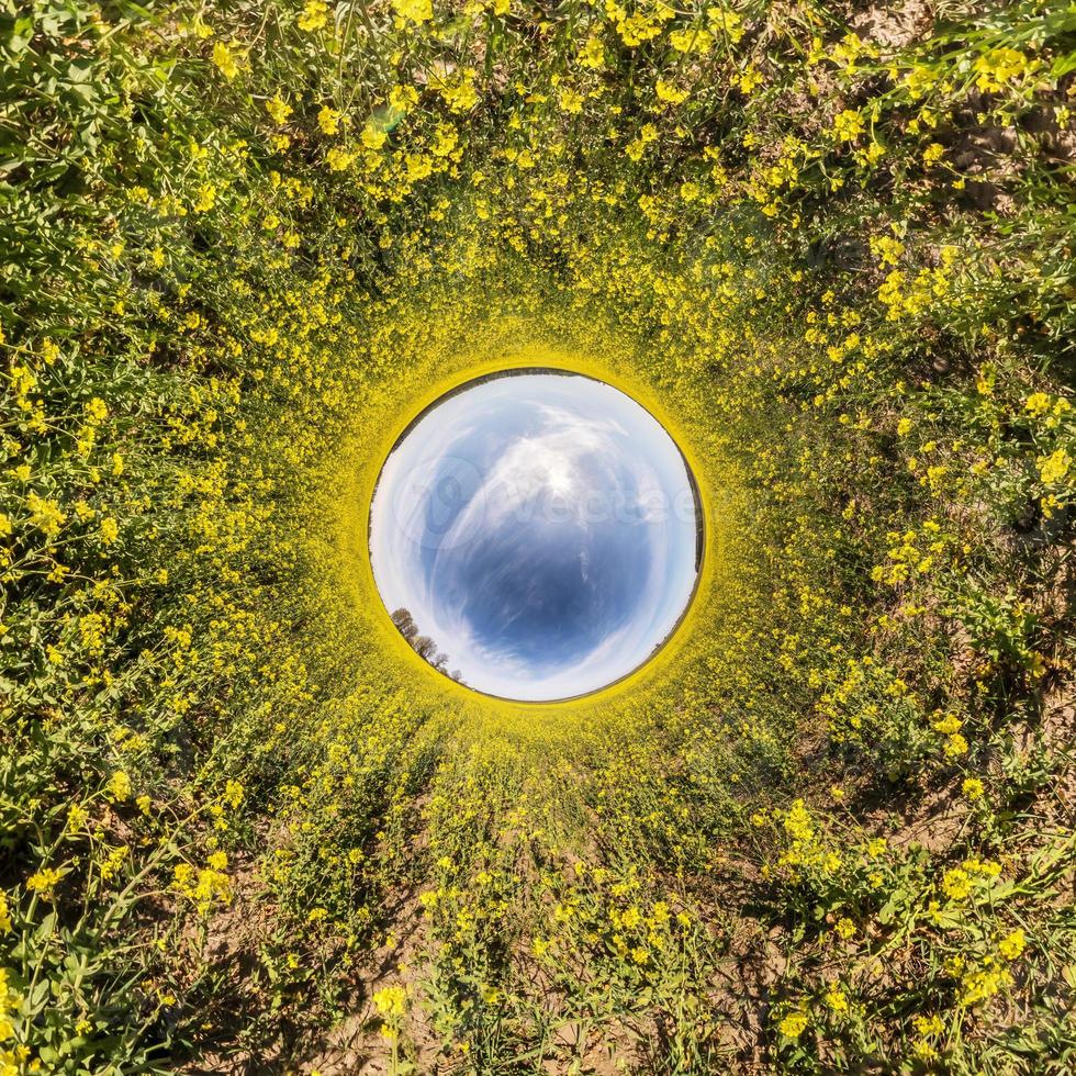 inversion of Little planet transformation of spherical panorama 360 degrees. Spherical abstract aerial view in rapeseed field with awesome beautiful clouds. Curvature of space. photo