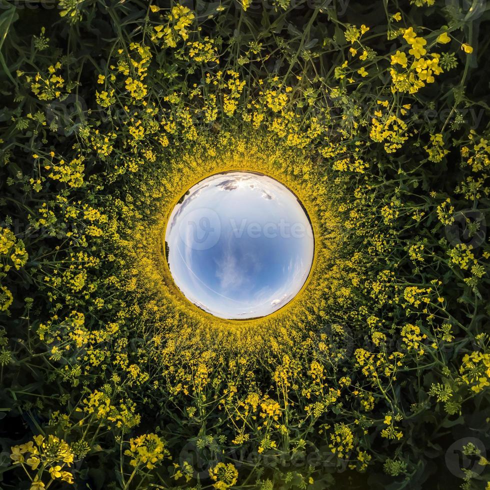 blue sky ball surrounded by yellow rapessed flowers. Inversion of tiny planet transformation of spherical panorama 360 degrees. Curvature of space. photo