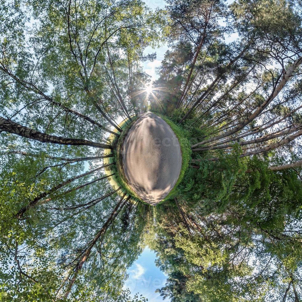 Little planet transformation of spherical panorama 360 degrees. Spherical abstract aerial view in forest. Curvature of space. photo