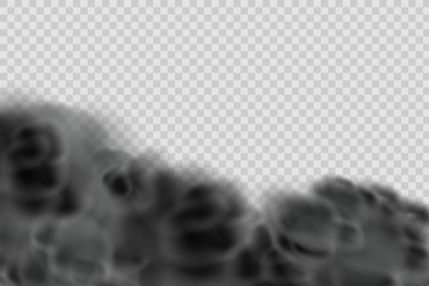 Black dust,clouds and fog. vector