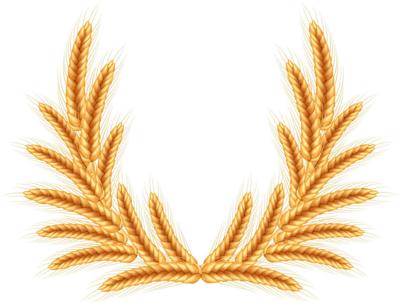 Wheat vector illustration.