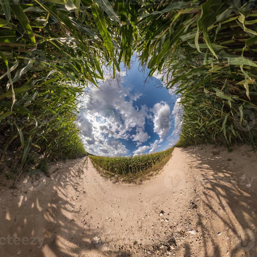 Inversion of blue tiny planet transformation of spherical panorama 360 degrees. Spherical abstract aerial view on corn field with awesome beautiful clouds. Curvature of space. photo