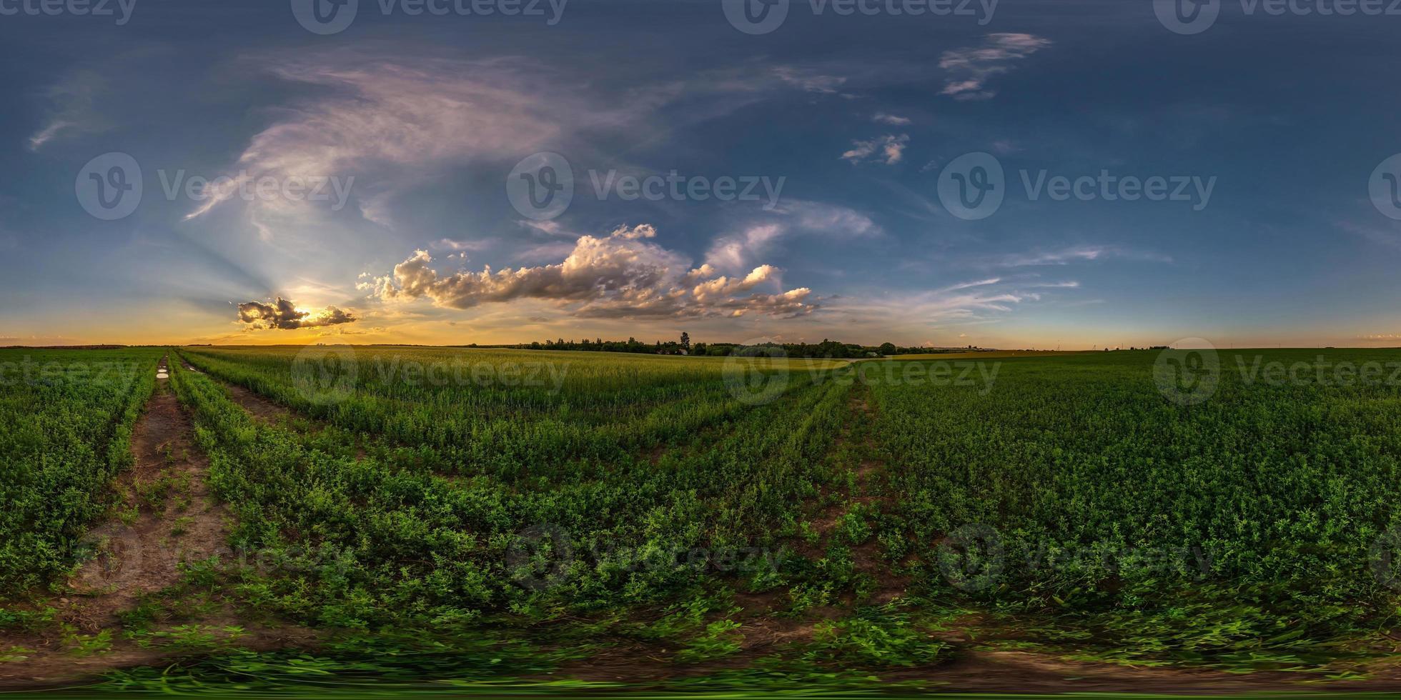 spherical evening hdri panorama 360 view among farming fields with awesome sunset clouds in equirectangular projection, ready for VR AR virtual reality content photo