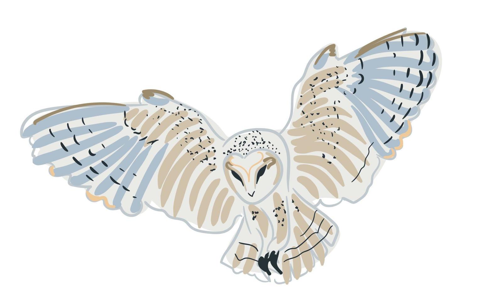 Owl stylized white in vector. vector