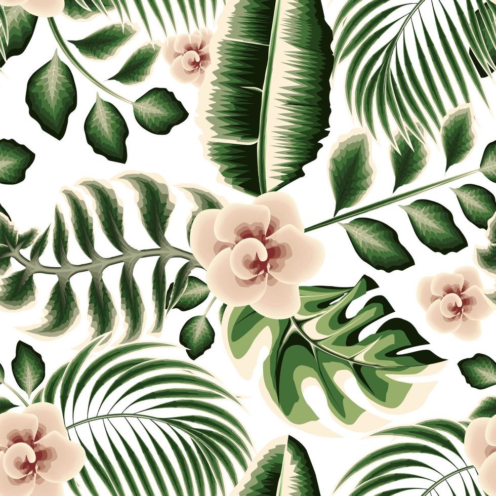 hojas de palma de plátano verde patrón sin costuras con hojas de plantas de monstera y follaje de plantas de flores rosas sobre fondo blanco. fondo floral. papel pintado de la naturaleza. fondo tropical. ilustración de la selva vector