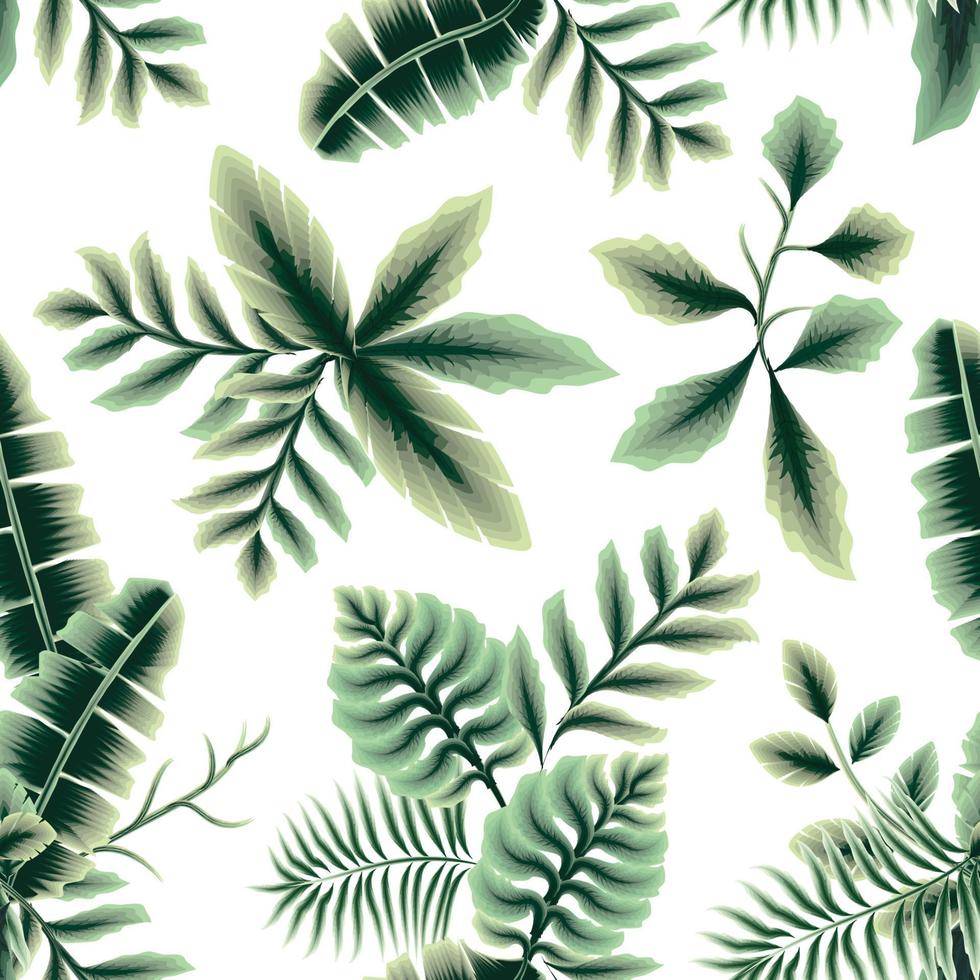 green banana leaves seamless pattern with tropical palm leaf and plants foliage on white background. nature background. jungle vector. botanical wallpaper. summer design print and textiles. spring vector