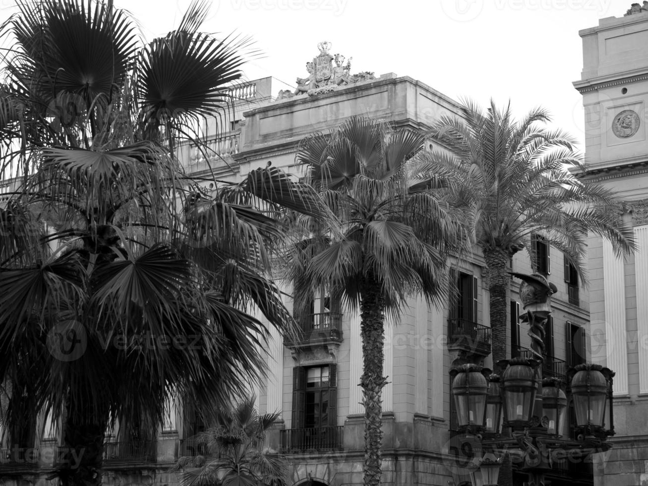 barcelona in spain photo
