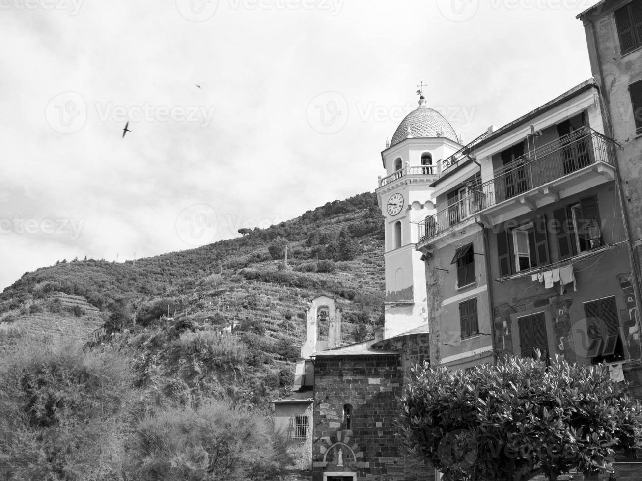 monterosso in italy photo